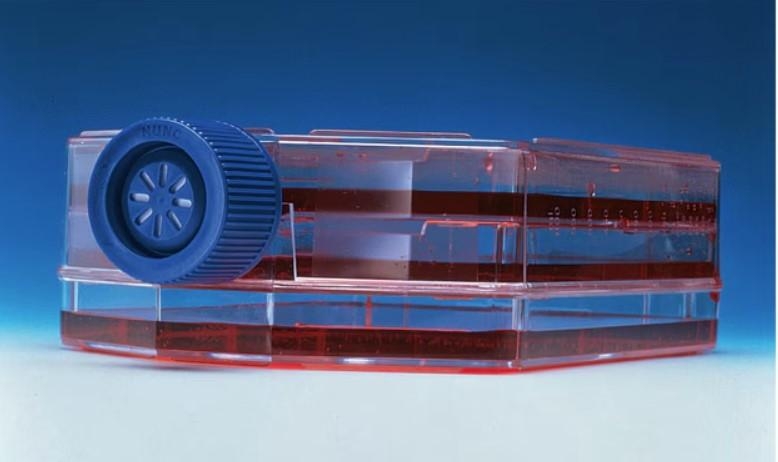 Thermo Nunc TripleFlask Cell Culture Treated Flasks 500cm2 Area New